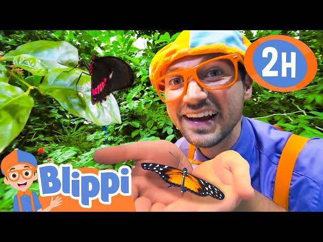 Blippi Experiments at the Science Center | BEST OF BLIPPI TOYS | Educational Videos for Kids