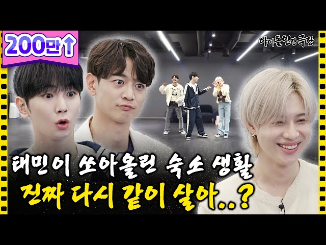 [ENG/JPN] SHINee Appearance Issue! New facts revealed after 15 years😱  | Idol Human Theater