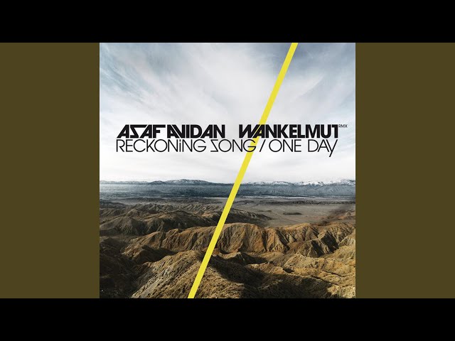 One Day / Reckoning Song (Wankelmut Remix)