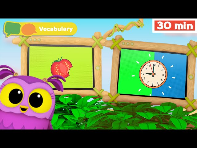 Hoot, Scoot & What | Learn Vocabulary for Kids | First Words & ABC alphabet  | Animals for Babies