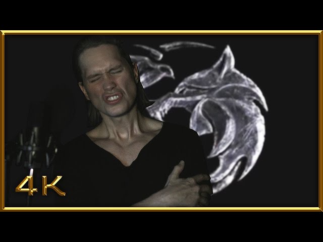 Toss a Coin to Your Witcher (Metal Cover)