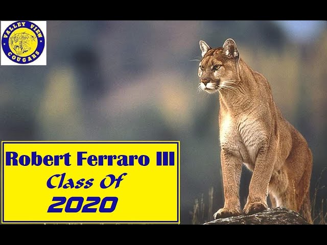 Robert Ferraro- (It`s Your Song Cover ) Class Of 2020