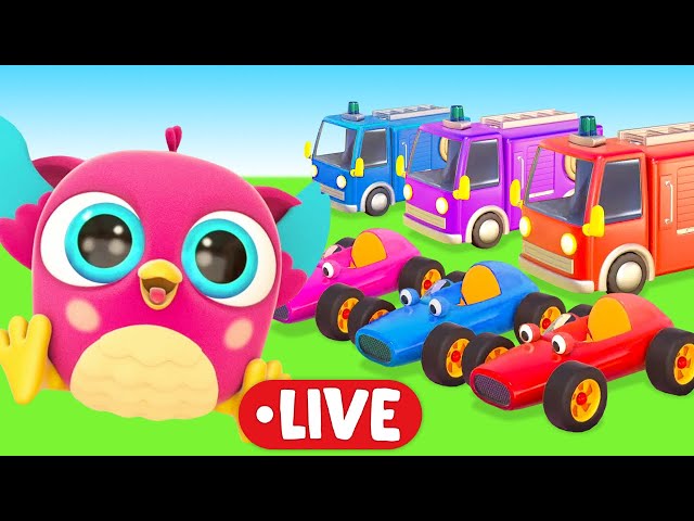🔴 Baby cartoons & Baby videos LIVE. Full episodes cartoon for kids with Hop Hop the Owl