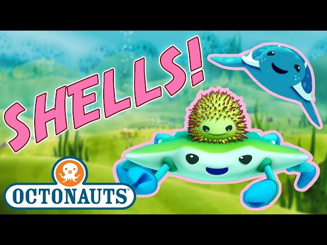 Octonauts - Learn about Shells | Cartoons for Kids | Underwater Sea Education