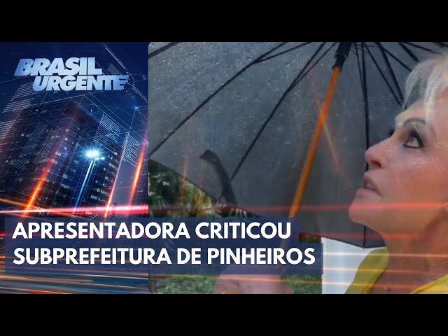 Árvore cai na casa de Ana Maria Braga durante chuva em SP | Brasil Urgente