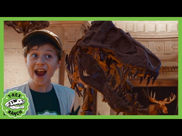 What Do Dino Bones Look Like?! 🦖 | T-Rex Ranch Dinosaur Videos for Kids