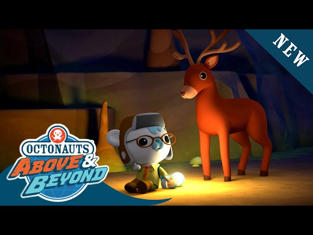 Octonauts: Above & Beyond - Agent Tracker Finds a Missing Deer 🦌 | Season 2 | @Octonauts​