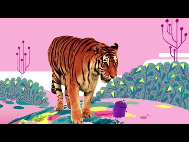 Animal Songs: "Tiger in the Jungle," by StoryBots | Netflix Jr