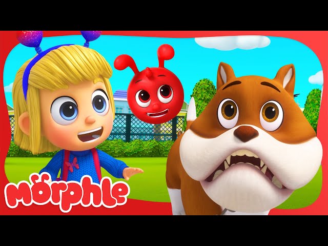 Mila and Morphle's Puppy Chase | BRAND NEW | Animal Cartoons for Kids