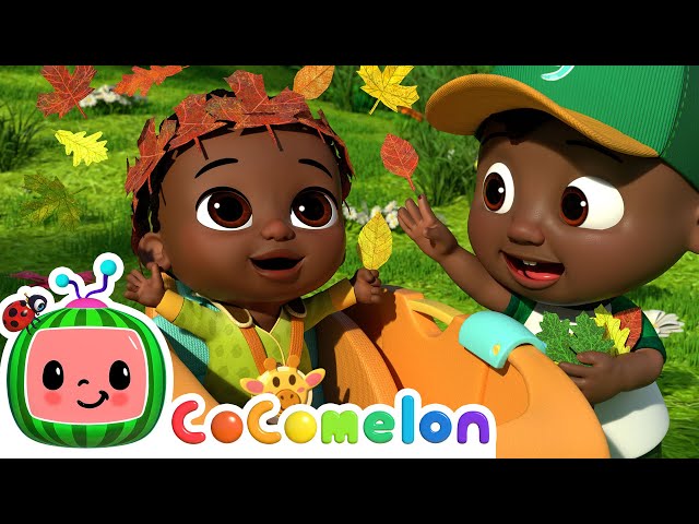 Colorful Autumn Leaves | CoComelon - Cody Time | CoComelon Songs for Kids & Nursery Rhymes