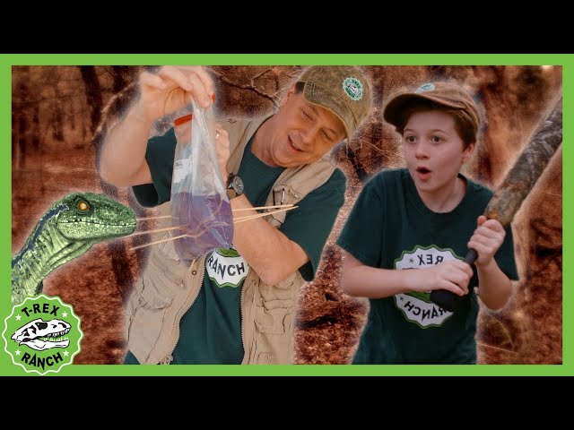 Epic Dinosaur Experiment! What Will Happen? | T-Rex Ranch Dinosaur Videos