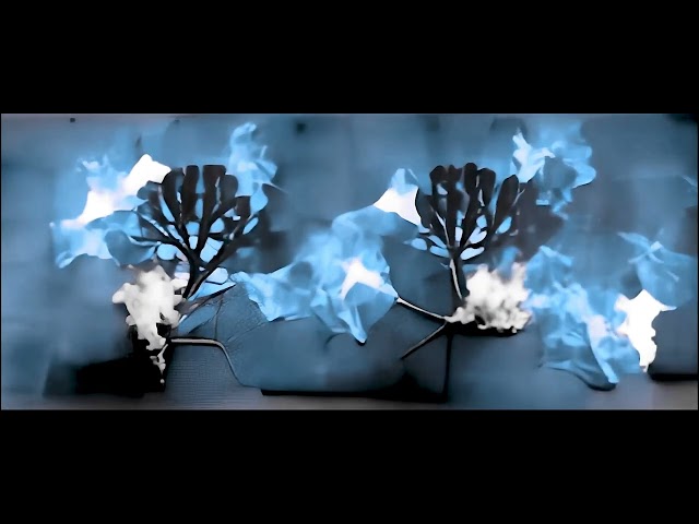 Jack White - A Tree on Fire from Within (Visualizer)
