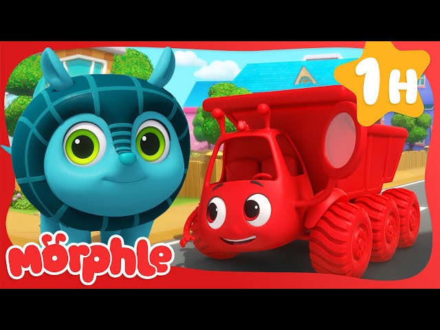 The Magic Gravity Pet | BRAND NEW | Cartoons for Kids | Mila and Morphle