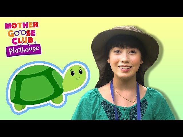 Tommy Turtle | OUTDOOR PLAYGROUND | Mother Goose Club Playhouse Kids Video