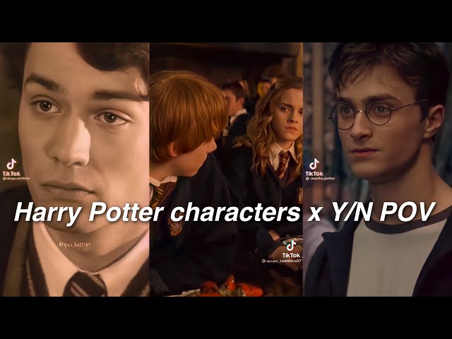 Harry Potter characters x Y/N TikTok POV