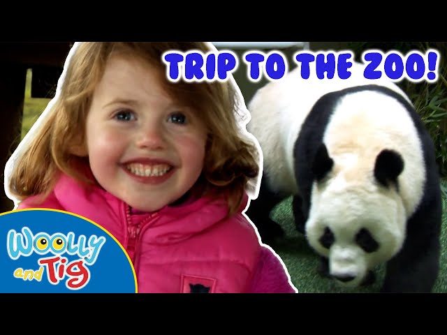 @WoollyandTigOfficial - Meeting Exotic Creatures! 🐼💜 | TV Show for Kids | Toy Spider