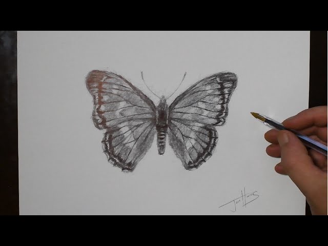 How to Draw a Butterfly | Black Ballpoint Biro Pen