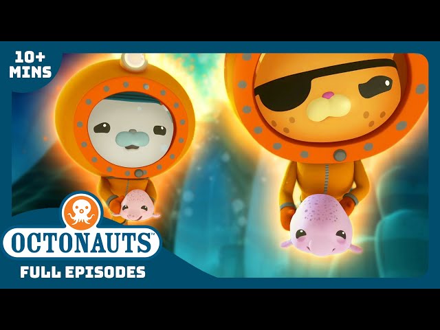 @Octonauts -  🐟 The Blobfish Brothers 🐟 | Season 1 | Full Episodes | Cartoons for Kids
