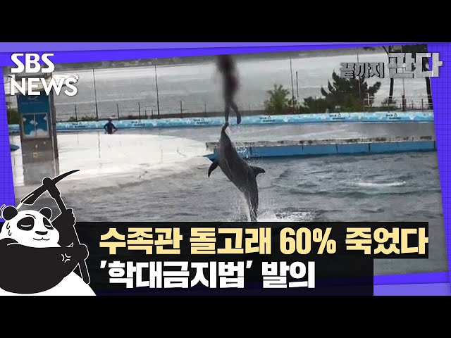 [단독] 수족관 돌고래 60% 죽었다…'학대금지법' 발의 / SBS / 끝까지판다
