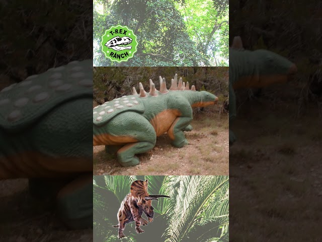 What is an Herbivore? 🦖| T-Rex Ranch Dinosaur Videos for Kids