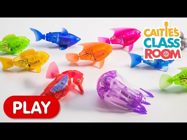 Learn Colors with Amazing Robot Fish! | Caitie's Classroom
