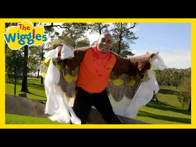 Do The Hawk! 🦅 Fun Kids Dance Move 🕺 The Wiggles feat. Lee Hawkins