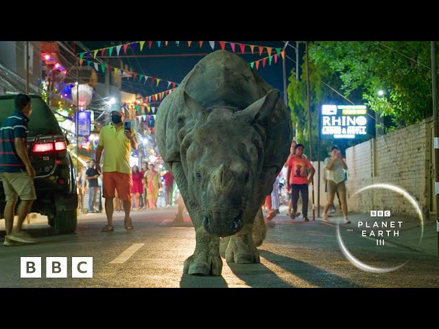 Your FIRST LOOK at Planet Earth III 🌎 featuring Hans Zimmer, RAYE and Bastille! - BBC