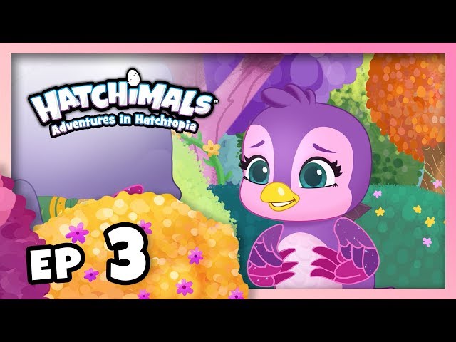 Hatchimals | Adventures in Hatchtopia S1 | Episode 3 – Rollin’ in Friendship