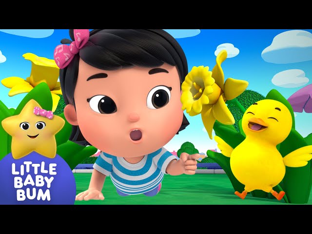 6 Little Ducks Counting ⭐ Mia's Learning Time! Little Baby Bum - Nursery Rhymes for Babies | LBB