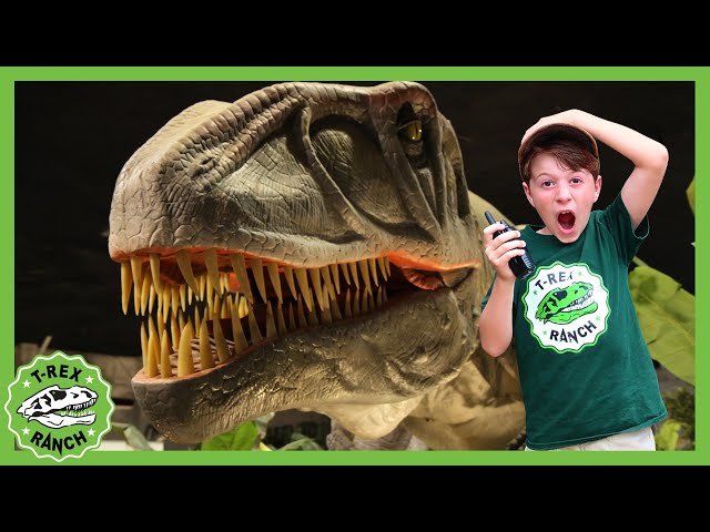 What Did Dinosaurs Look Like?! | T-Rex Ranch Dinosaur Videos for Kids