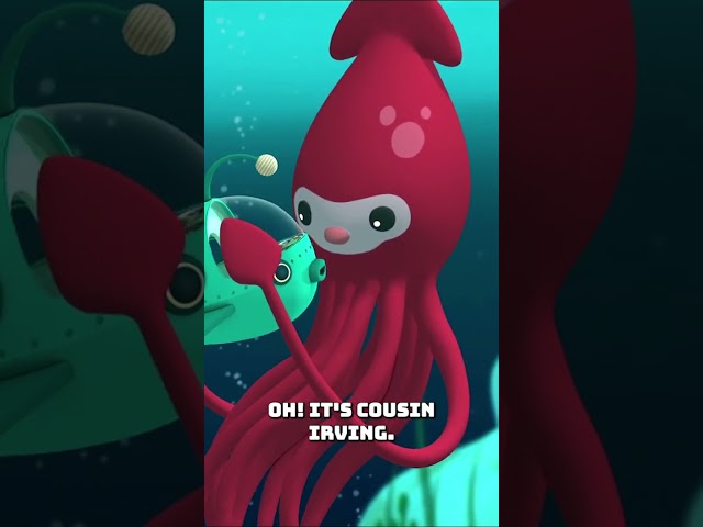 @Octonauts - 🐙 Inkling's Much Larger Cousin | The Giant Squid 🦑 | Underwater Sea Education | #shorts