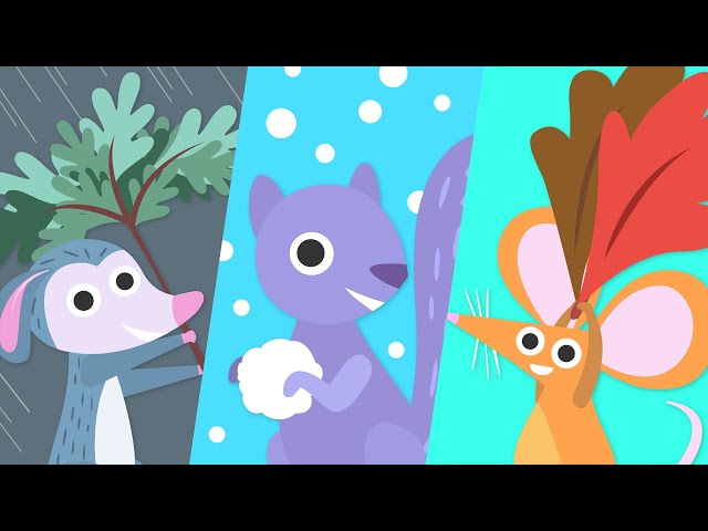 Changing Seasons! Falling Leaves, Snowflakes, and More! | Cartoons for Kids