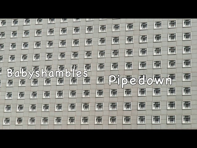 Babyshambles - Pipedown (with Lyrics)