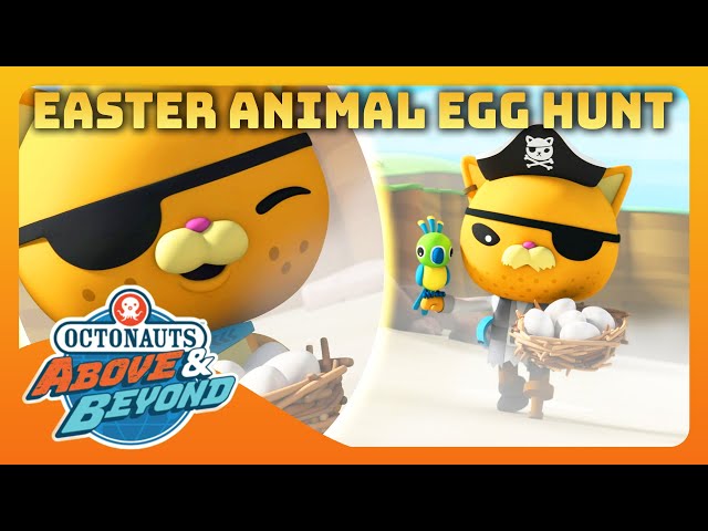 Octonauts: Above & Beyond - 🥚 Easter Animal Egg Hunt 🐾 | Compilation | @Octonauts​