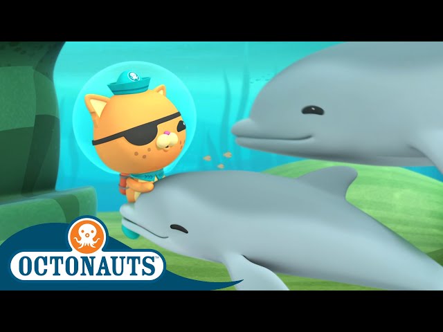 Octonauts - Reuniting a Baby Dolphin with it's Mother | Cartoons for Kids | Underwater Sea Education