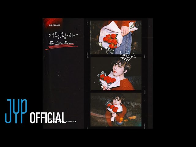 I.N "어린왕자 (The Little Prince)" Cover (원곡 : 려욱) | [Stray Kids : SKZ-RECORD]
