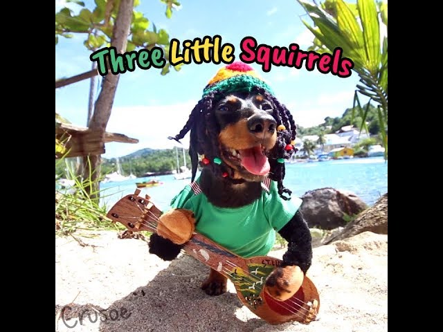 Dog Marley - "Three Little Squirrels"