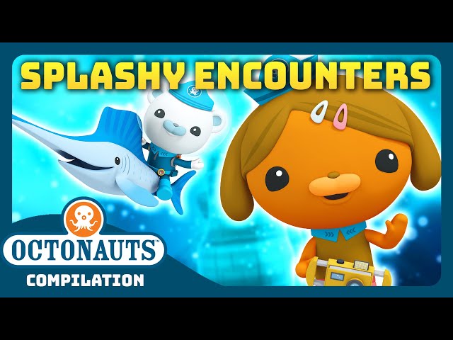 @Octonauts - 💦  SPLASHY Sea Creature Encounters! 🦑 | 3 Hours+ Full Episodes Marathon