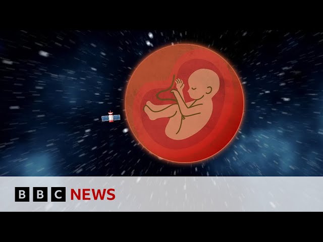 Could we have babies in space? | BBC Ideas