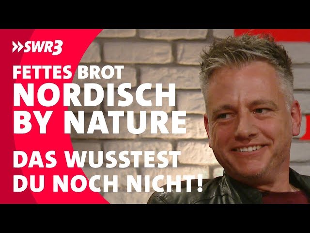 Die Wahrheit über: Fettes Brot – Nordish By Nature | Größte Hits und ihre Geschichte | SWR3