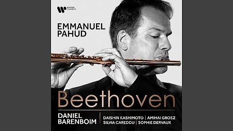 Beethoven: Works for Flute