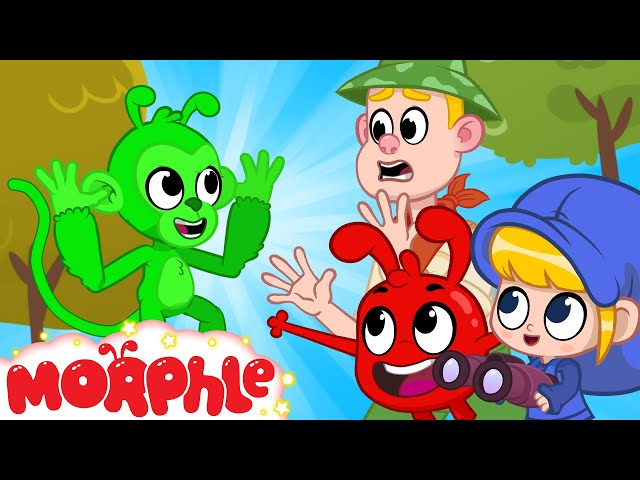 Magic Animal Spotting with Orphle - Cartoons for Kids | Morphle