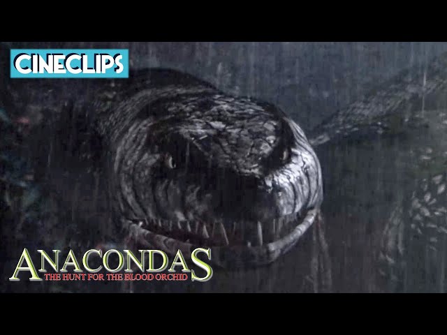 Blowing Up Anacondas | Anacondas: The Hunt For The Blood Orchid