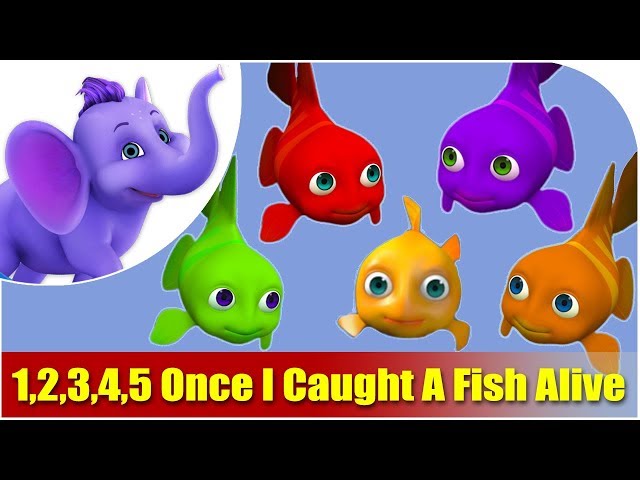 Kids Nursery Rhymes | 1,2,3,4,5 Once I Caught A Fish Alive
