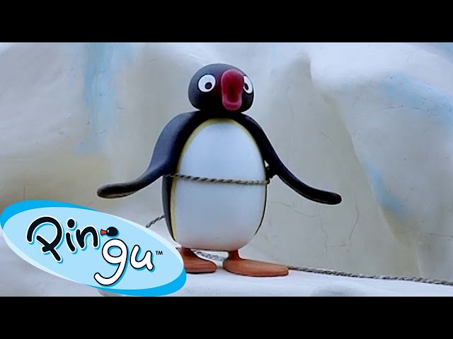 Traveling with Pingu 🐧 | Pingu - Official Channel | Cartoons For Kids