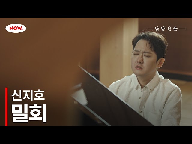 피아니스트 신지호의 '밀회' 🎵 NOW.에서 24시간 온에어 [낮밤선율]ㅣ네이버 NOW.
