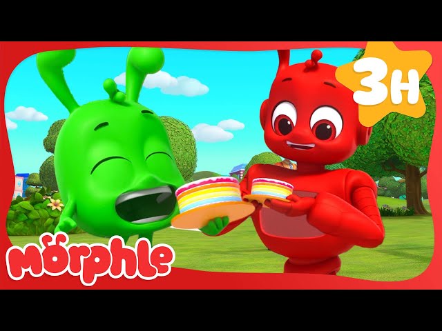 Cake Brothers for Life! | Morphle | Fun Cartoon Videos | Kids Animation