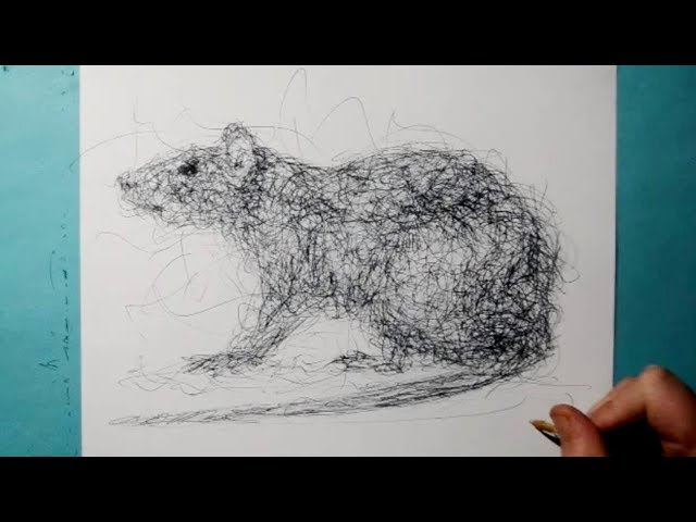 How to Draw a Realistic Rat / REAL TIME / Ballpoint Pen Drawing / Fun Scribble Art Style