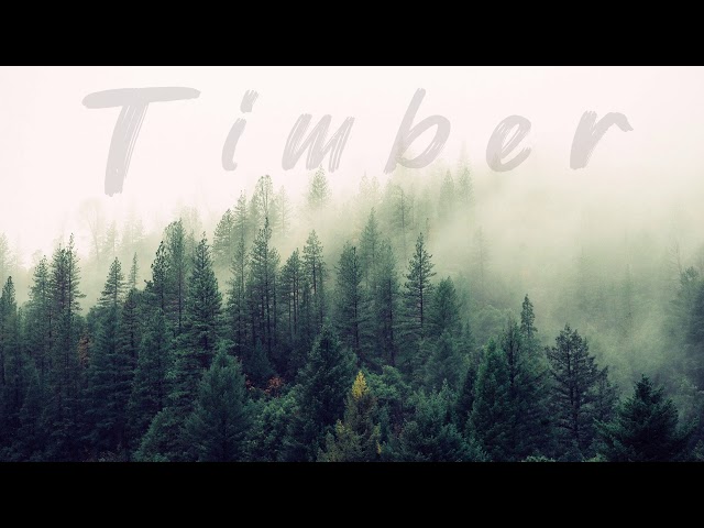 Timber [Lo-Fi Hip Hop/Chill]