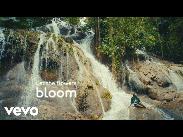 Aqyila - Bloom (Official Lyric Video)